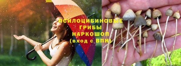 тгк Верхний Тагил